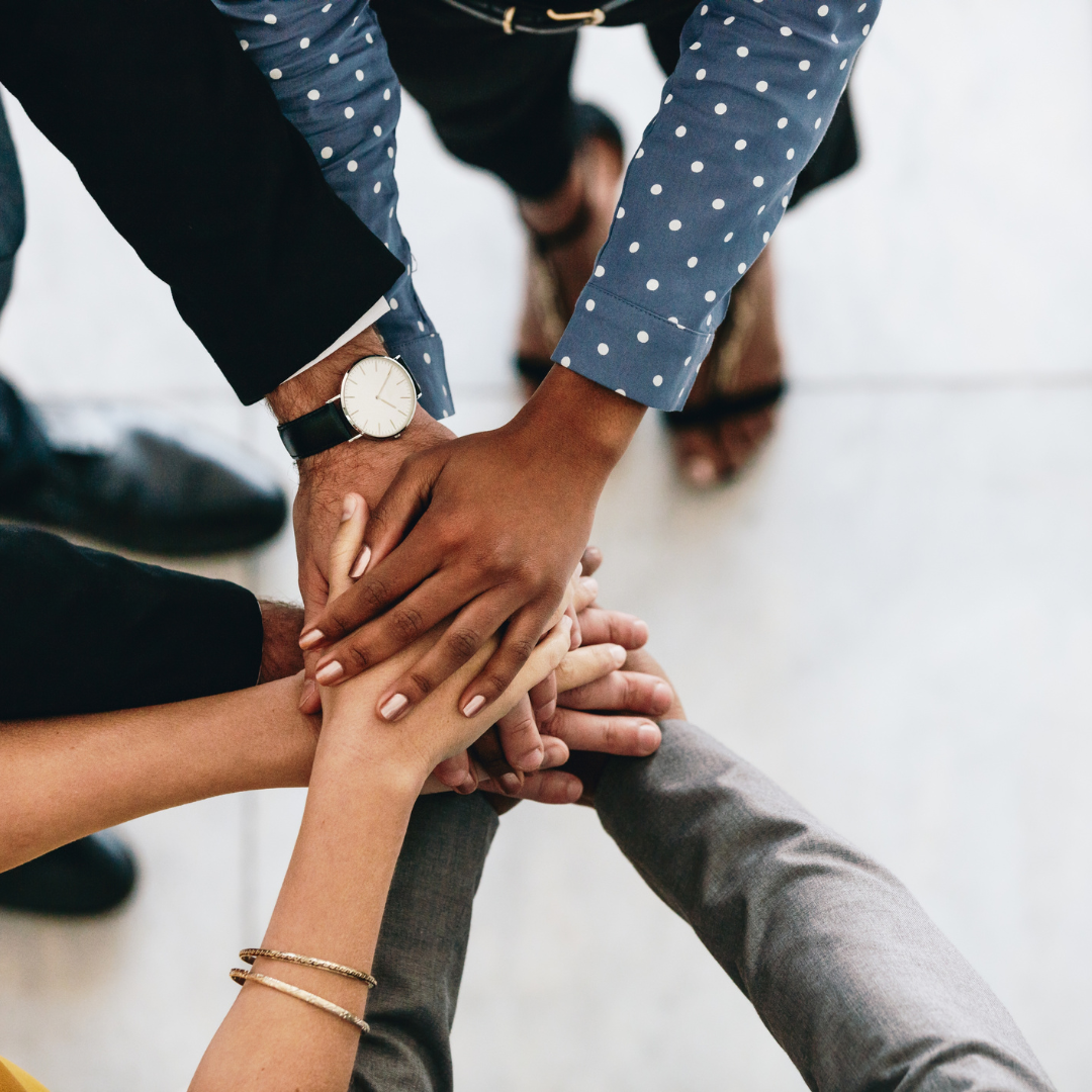 Monochrome HR dashboard preview